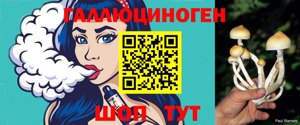 APVP Кызыл
