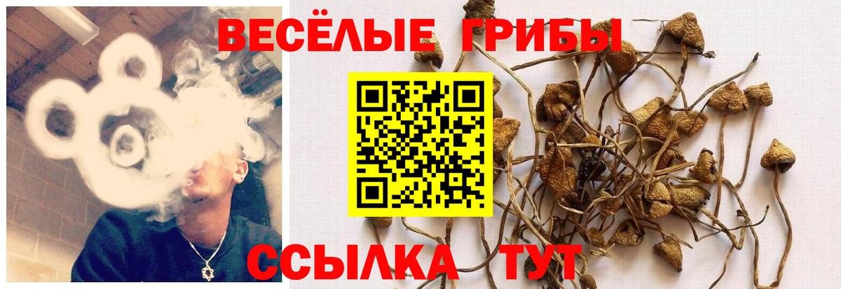 Кызыл  Галлюциногенные грибы ЛСД  Вход с VPN 