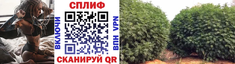 kraken   Кызыл  Каннабис THC 21% 